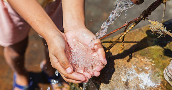 kid's hands taking water 